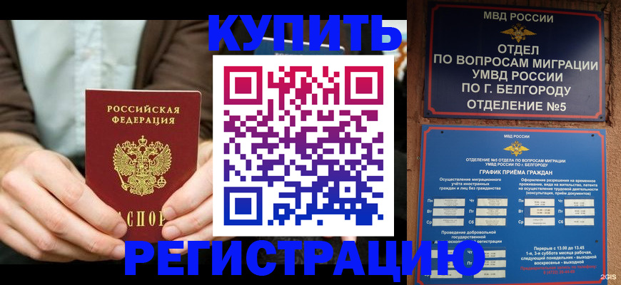 прописка 2025 в Жуковском